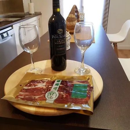 Apartment Piso Turistico/vacacional Lm
